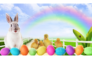 Easter Wallpapers 2017 Happy Easter 2017 HD Wallpapers
